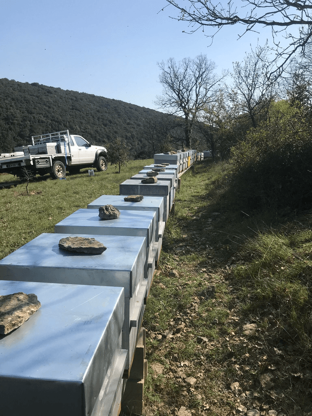 Miel de Garrigue 500g